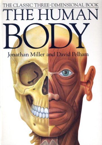 Human Body