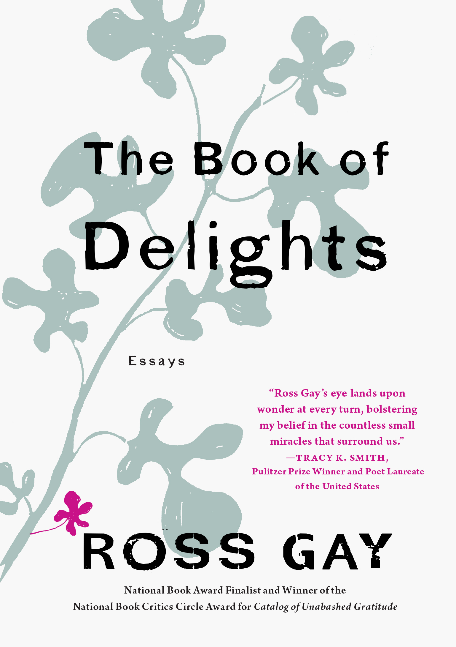 The Book of Delights: Essays