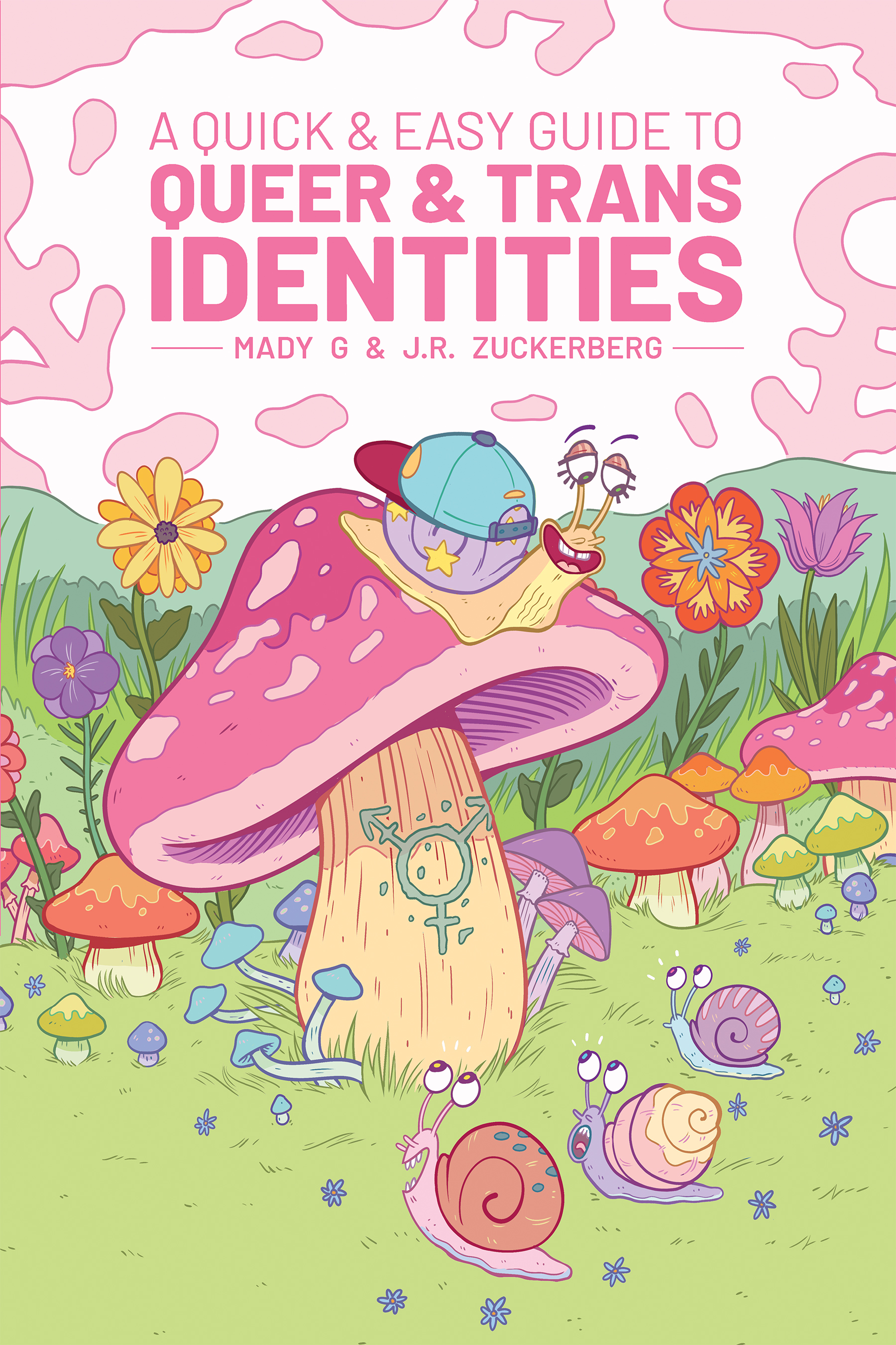 Quick & Easy Guide to Queer & Trans Identities (Quick & Easy Guides)