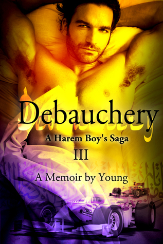 Debauchery (A Harem Boy's Saga, Band 3)