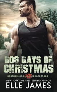 Dog Days of Christmas (Brotherhood Protectors, Band 16)