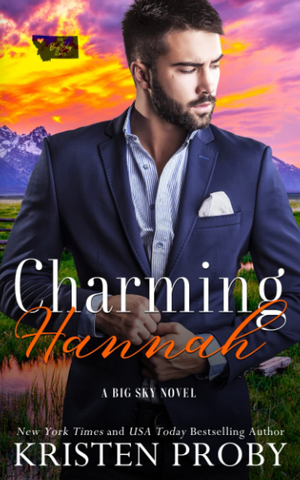 Charming Hannah: A Big Sky Novel (The Big Sky Series, Band 1)