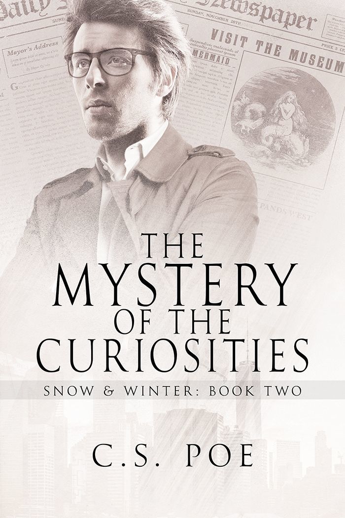 The Mystery of the Curiosities (Snow & Winter, Band 2)