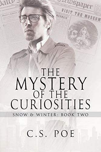 The Mystery of the Curiosities (Snow & Winter, Band 2)