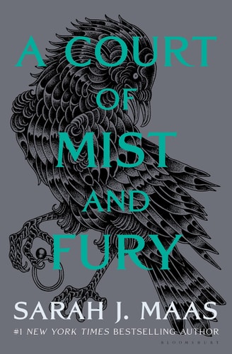 A Court of Mist and Fury (A Court of Thorns and Roses, Band 9)