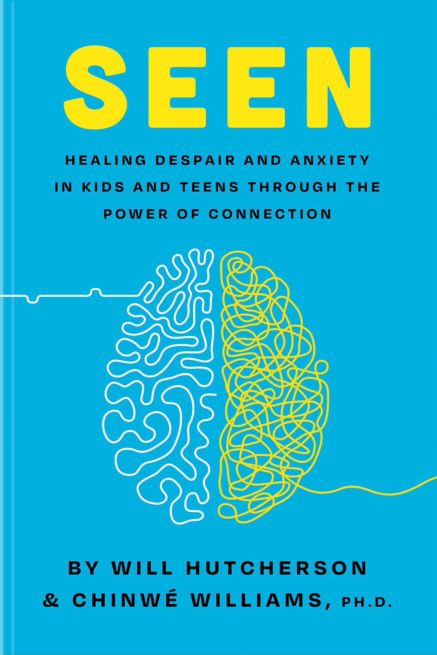 Seen: Healing Despair And Anxiety In Kids And Teens Through The Power Of Connection