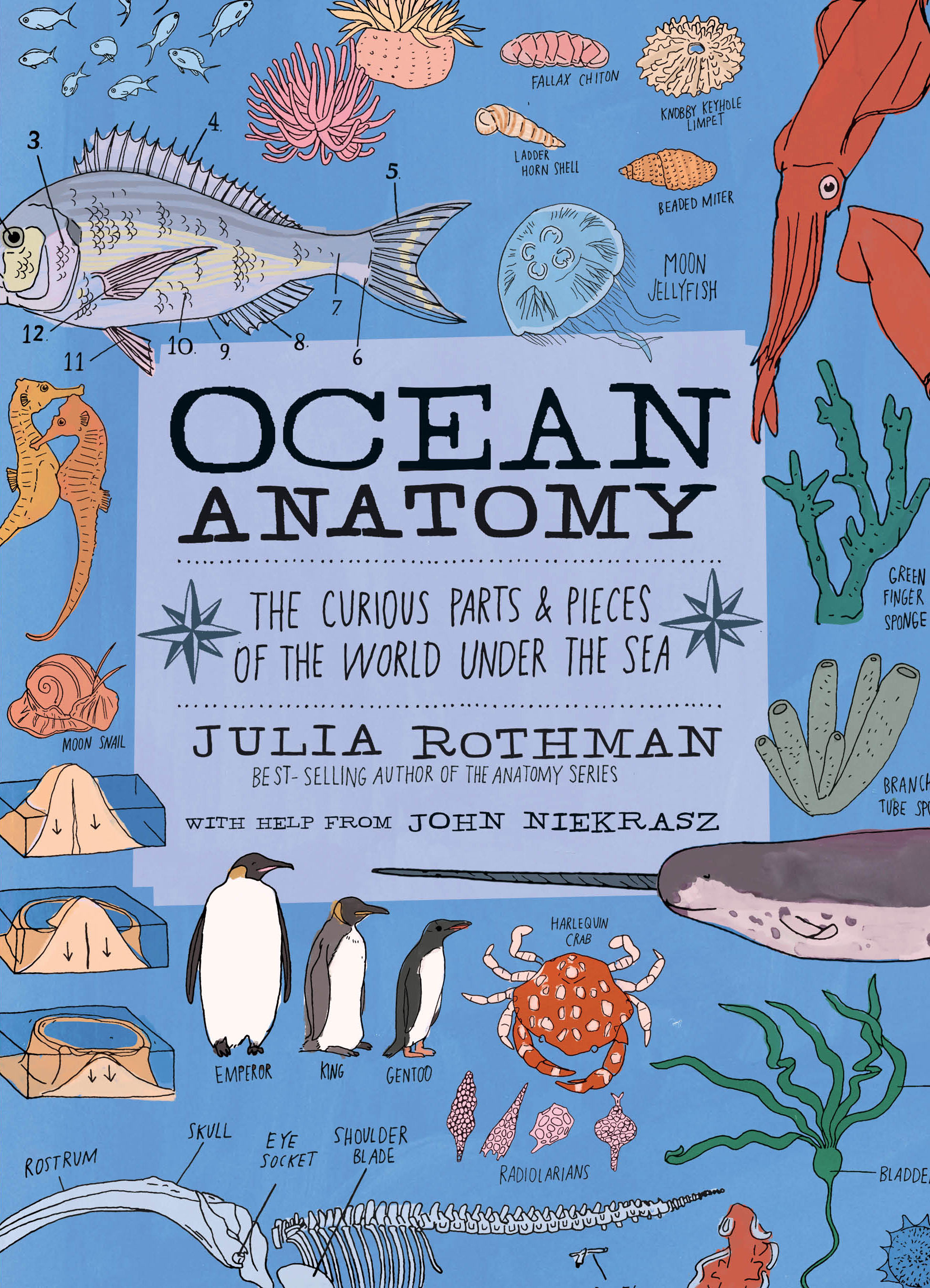 Ocean Anatomy: The Curious Parts & Pieces of the World Under the Sea: 1