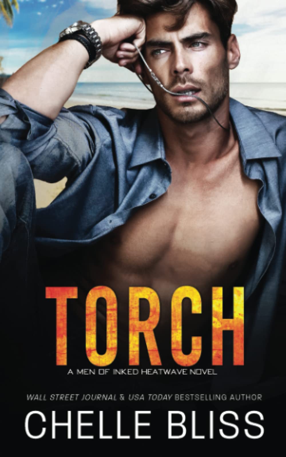 Torch (Men of Inked: Heatwave, Band 11)