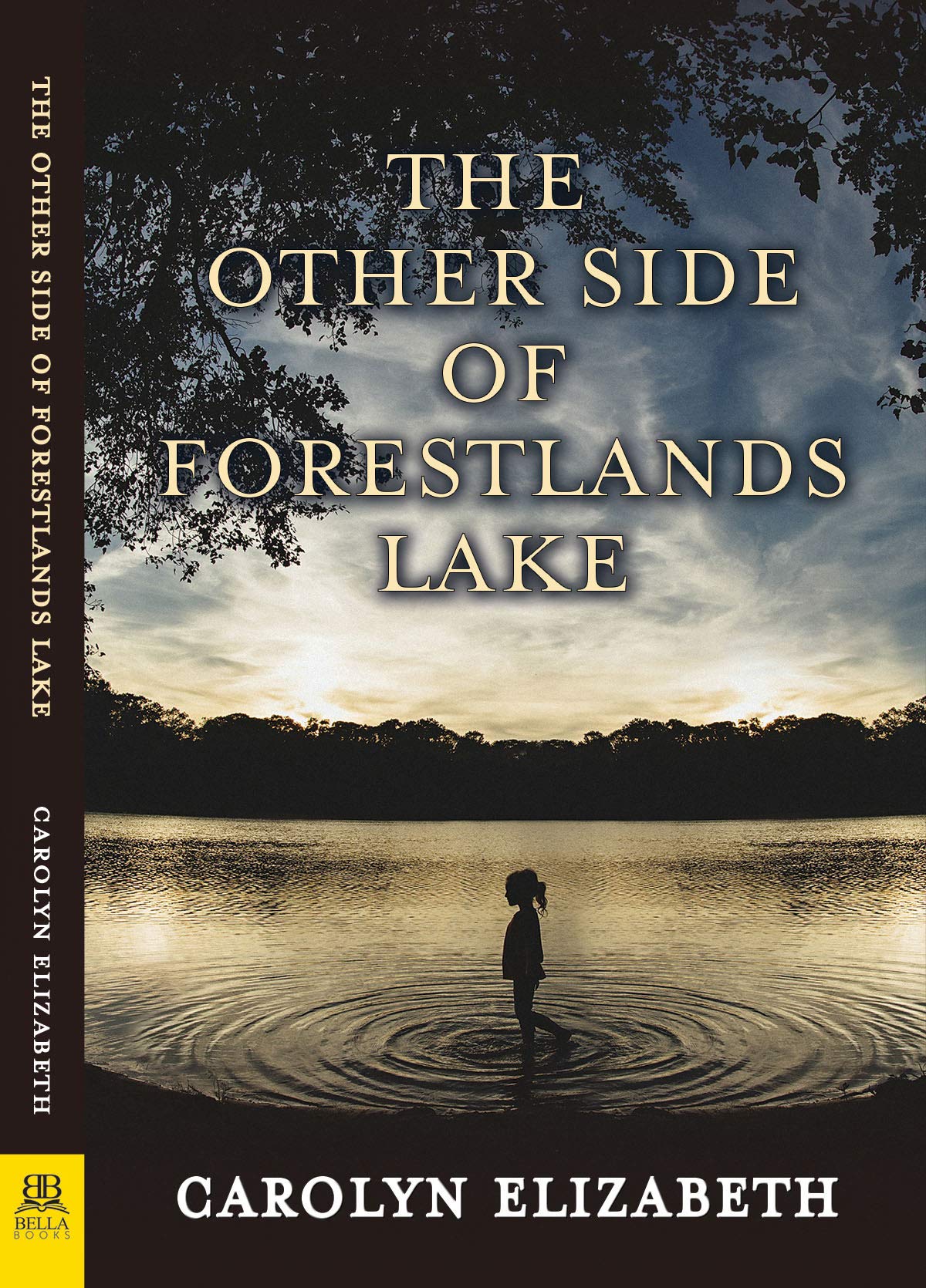 The Other Side of Forestlands Lake