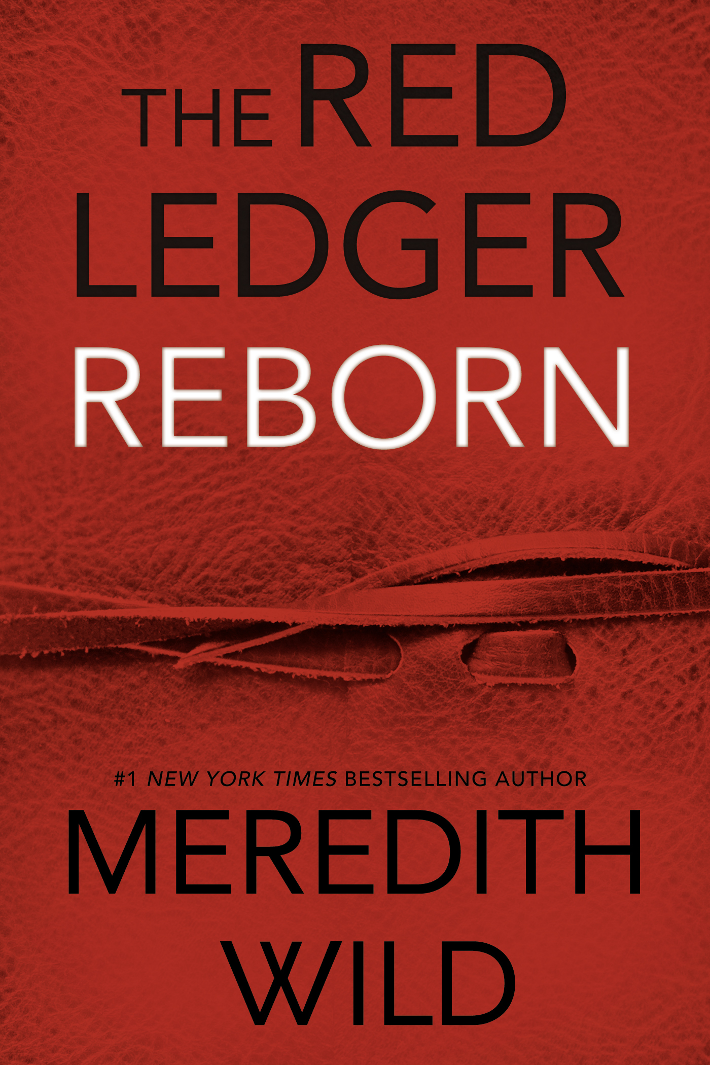 Reborn: The Red Ledger Volume 1 (Parts 1,2 & 3) (The Red Ledger (1), Band 1)