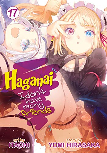 Hirasaka, Y: Haganai: I Don't Have Many Friends Vol. 17