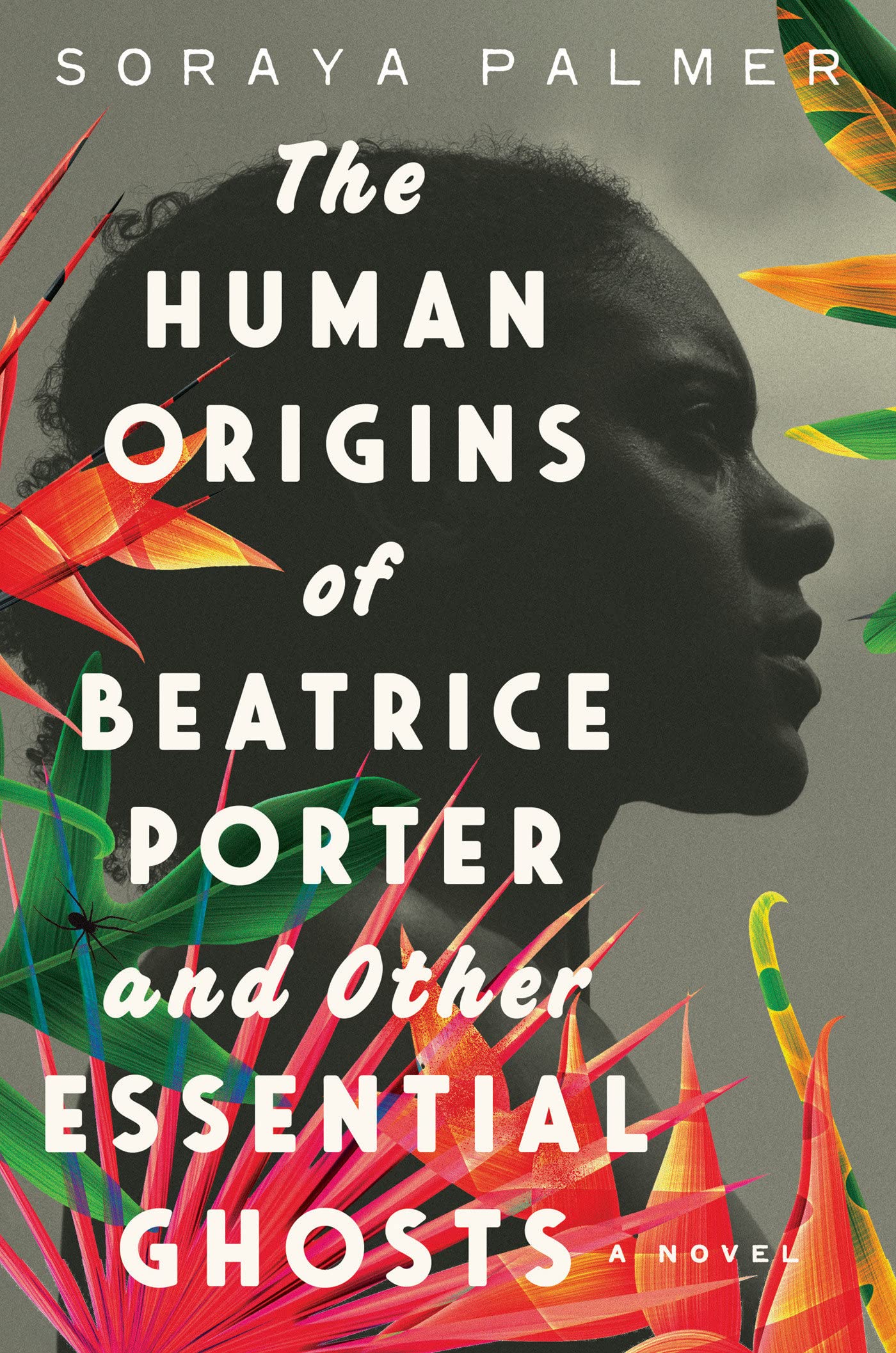 The Human Origins of Beatrice Porter and Other Essential Ghosts: A Novel