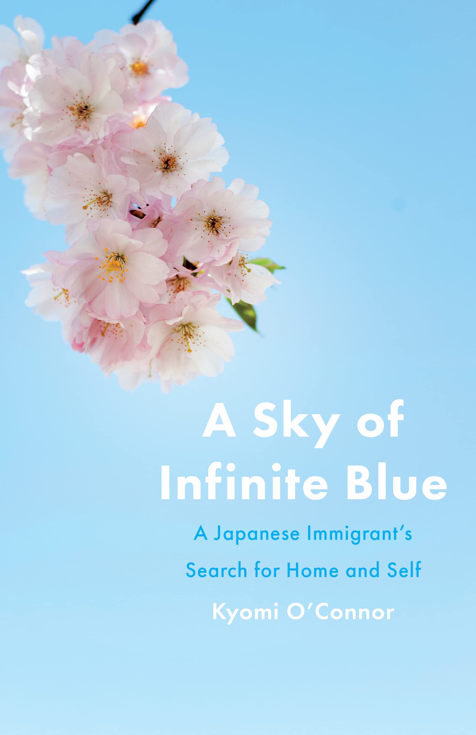 A Sky of Infinite Blue: A Japanese Immigrant's Search for Home and Self
