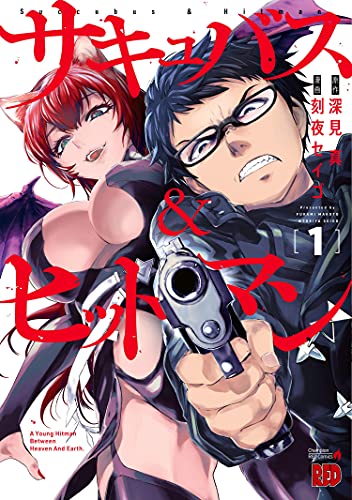 Succubus & Hitman 1 (Succubus and Hitman, 1, Band 1)