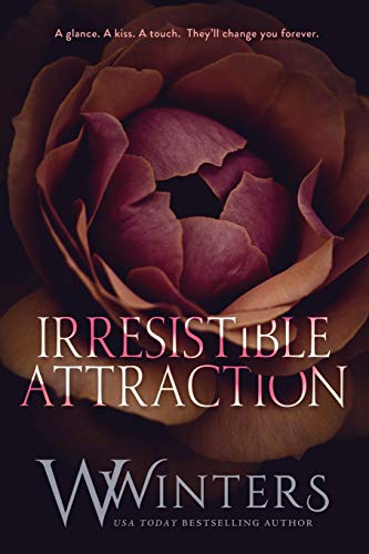 Irresistible Attraction (Merciless World Series, Band 2)