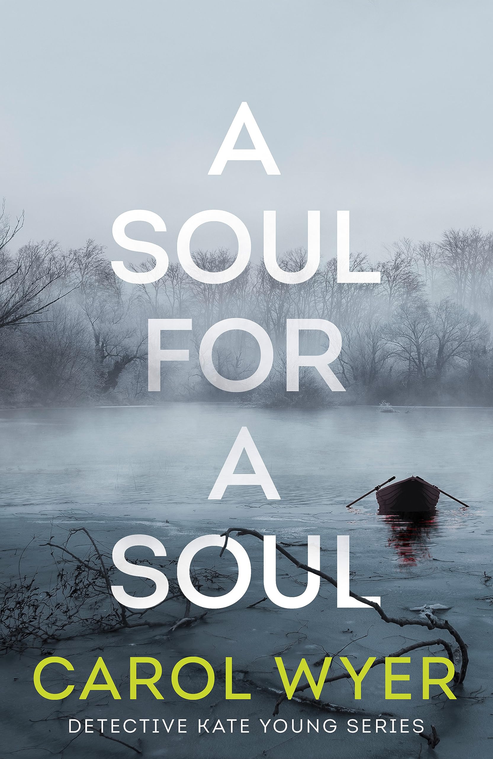 A Soul for a Soul (Detective Kate Young, Band 5)