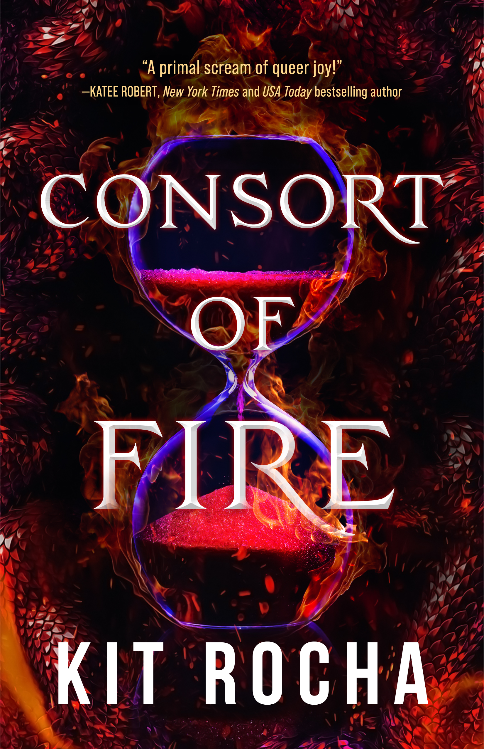 Consort of Fire (Bound to Fire and Steel, Band 1)