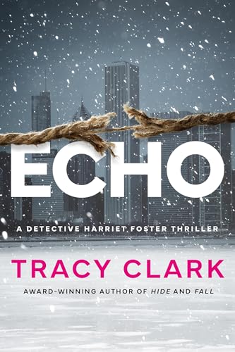 Echo (Detective Harriet Foster, Band 3)