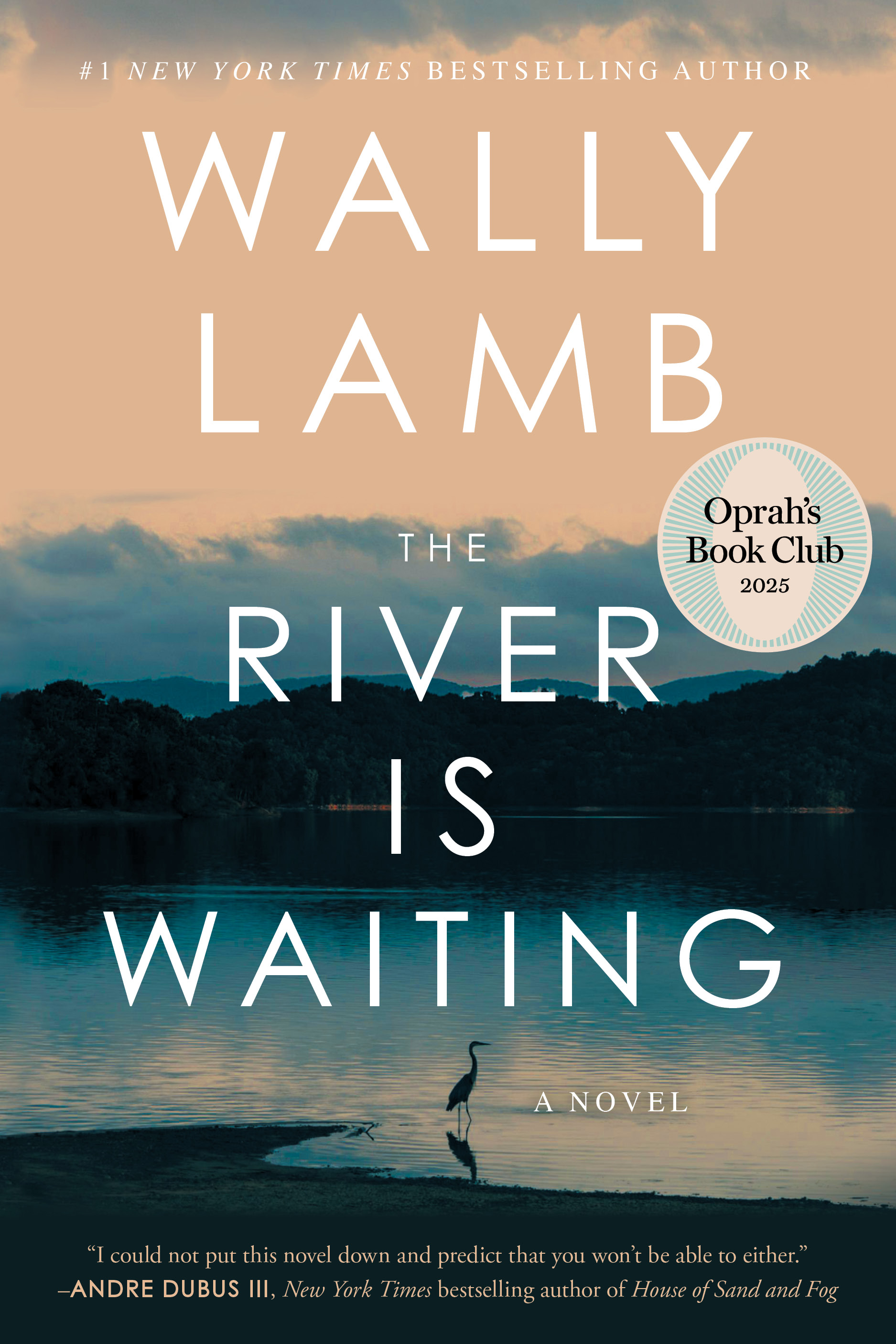 The River Is Waiting: A Novel