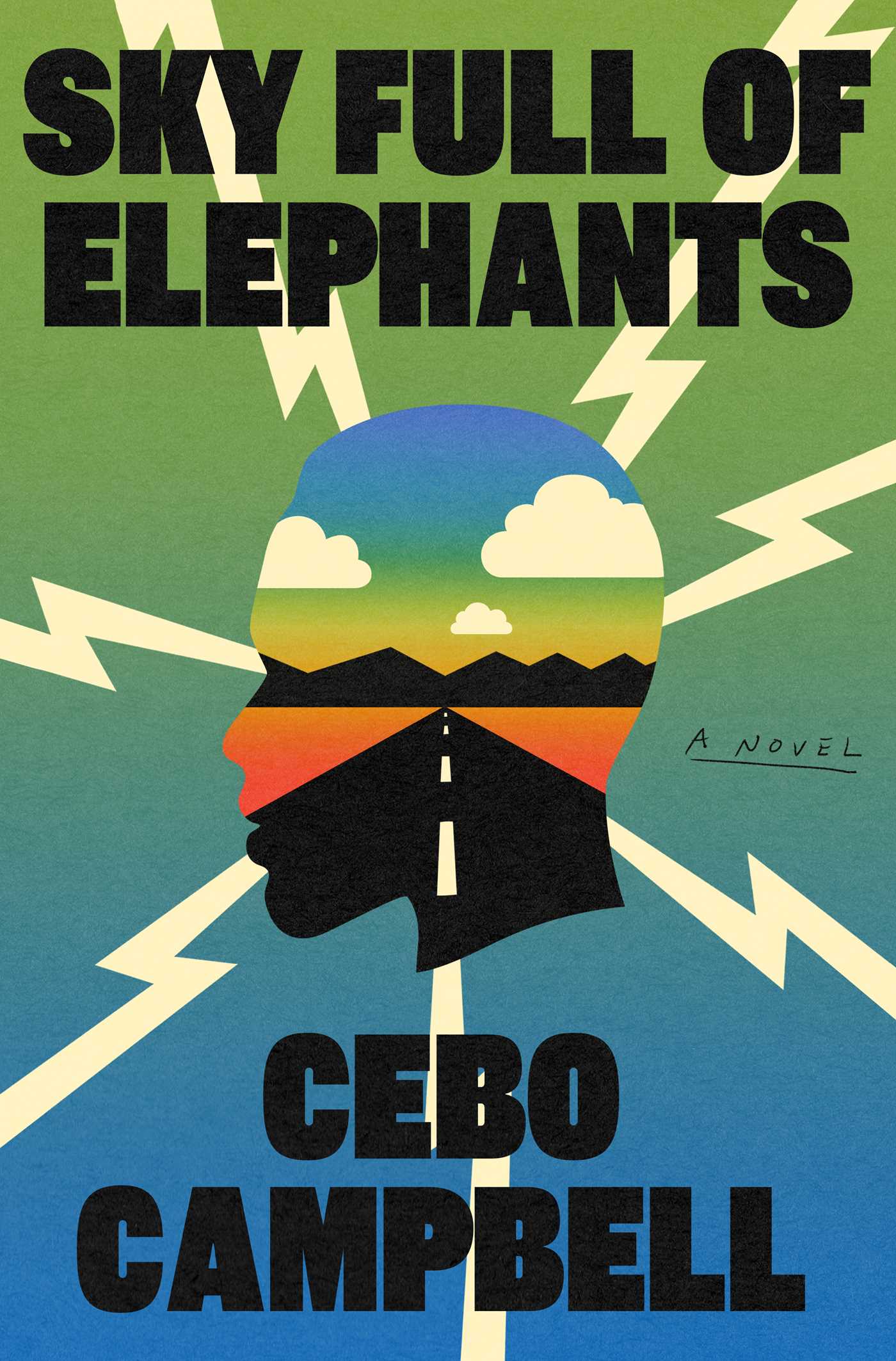 Sky Full of Elephants: A Novel