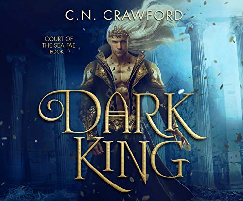 Dark King (Court of the Sea Fae, Band 1)