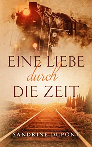Eine Liebe durch die Zeit (Timetraveller-Reihe, Band 1)