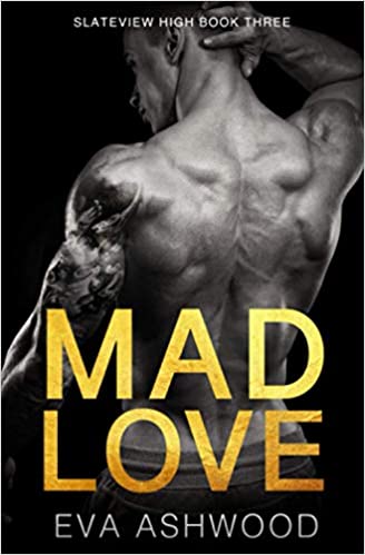 Mad Love (Slateview High, Band 3)