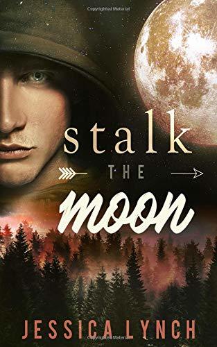 Stalk the Moon (Mirrorside, Band 1)