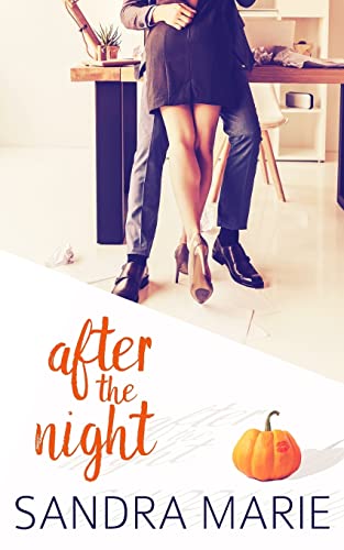 After the Night (Romance for all Seasons, Band 1)