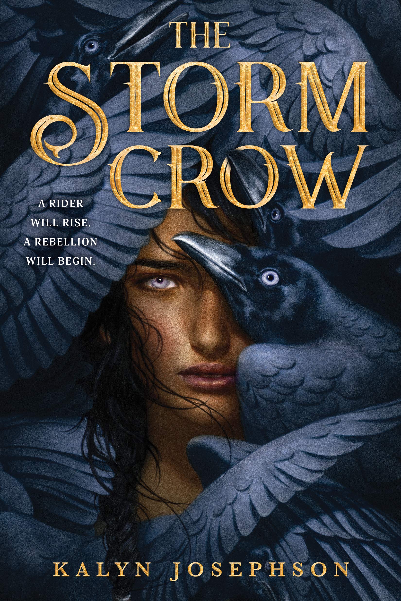 The Storm Crow (Storm Crow, 1, Band 1)