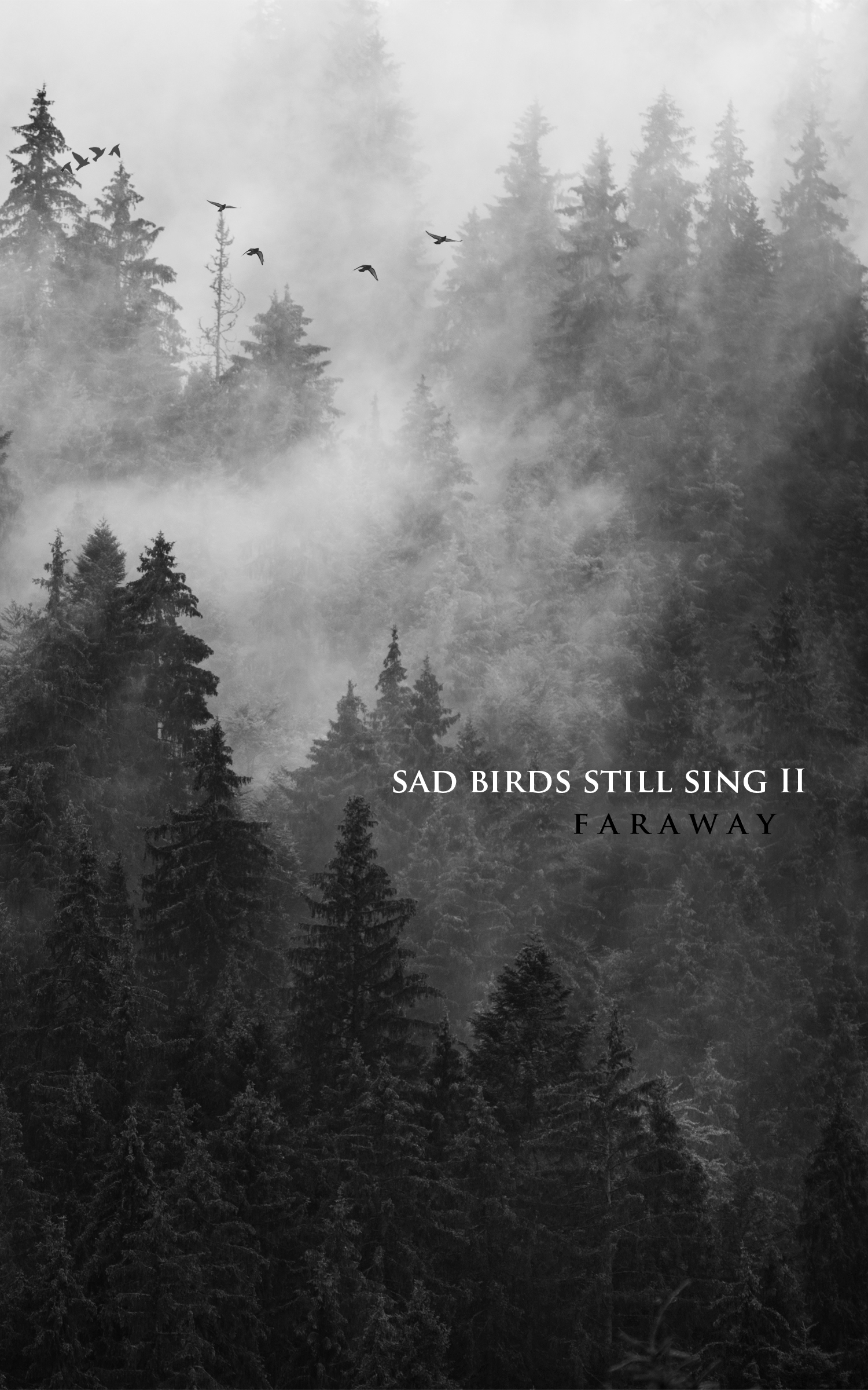 Sad Birds Still Sing 2