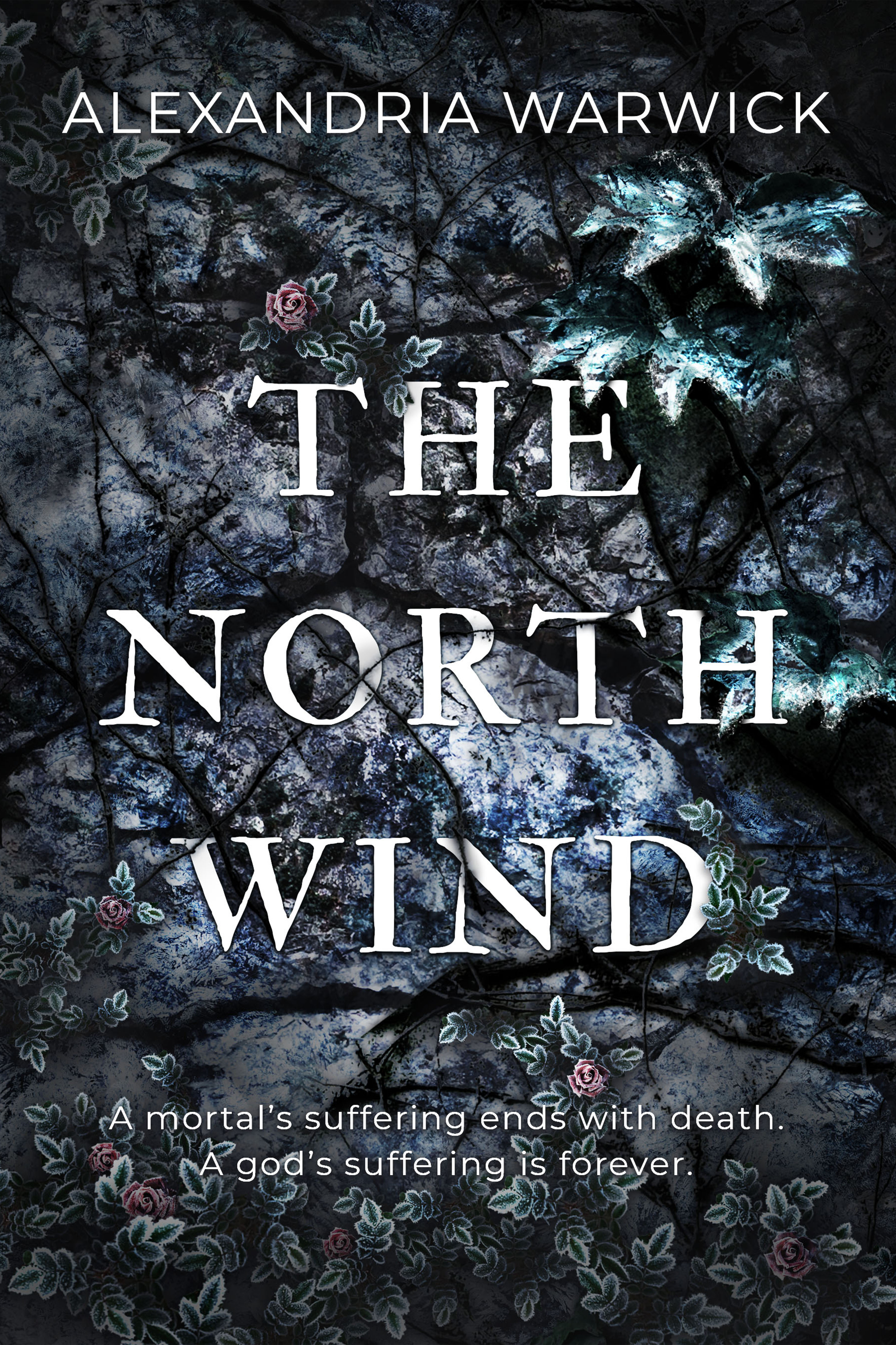 The North Wind (Four Winds, Band 1)