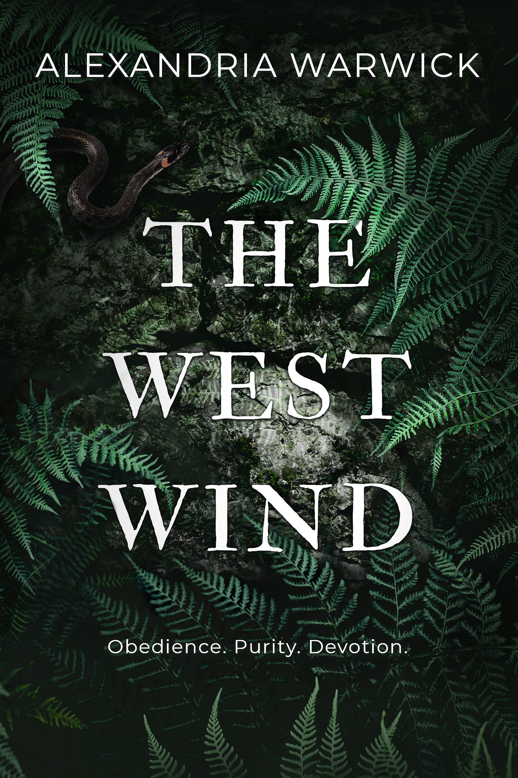 The West Wind (Four Winds, Band 2)