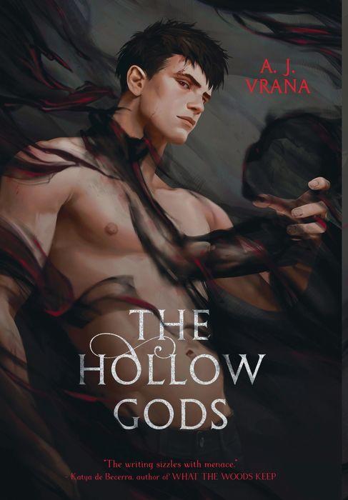 The Hollow Gods (The Chaos Cycle, Band 1)