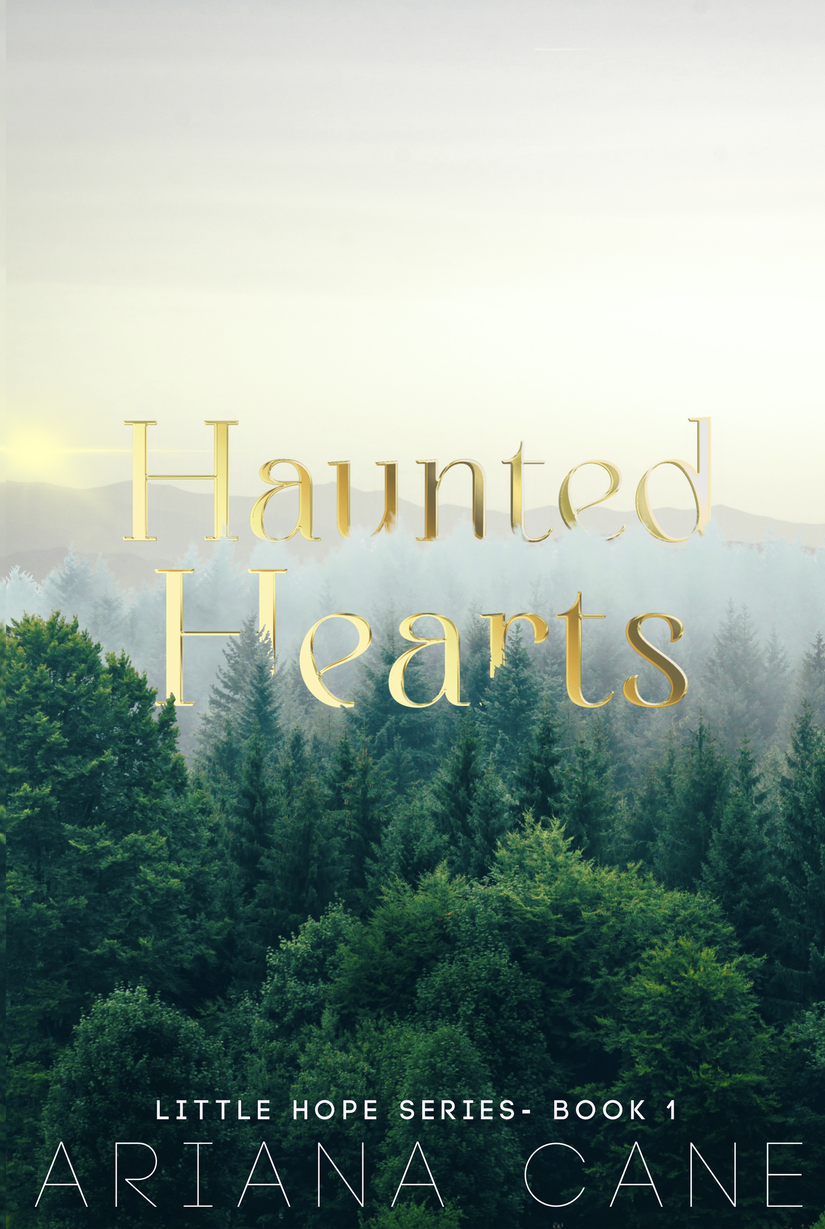 Haunted Hearts: A small town, enemies to lovers, ex-military standalone