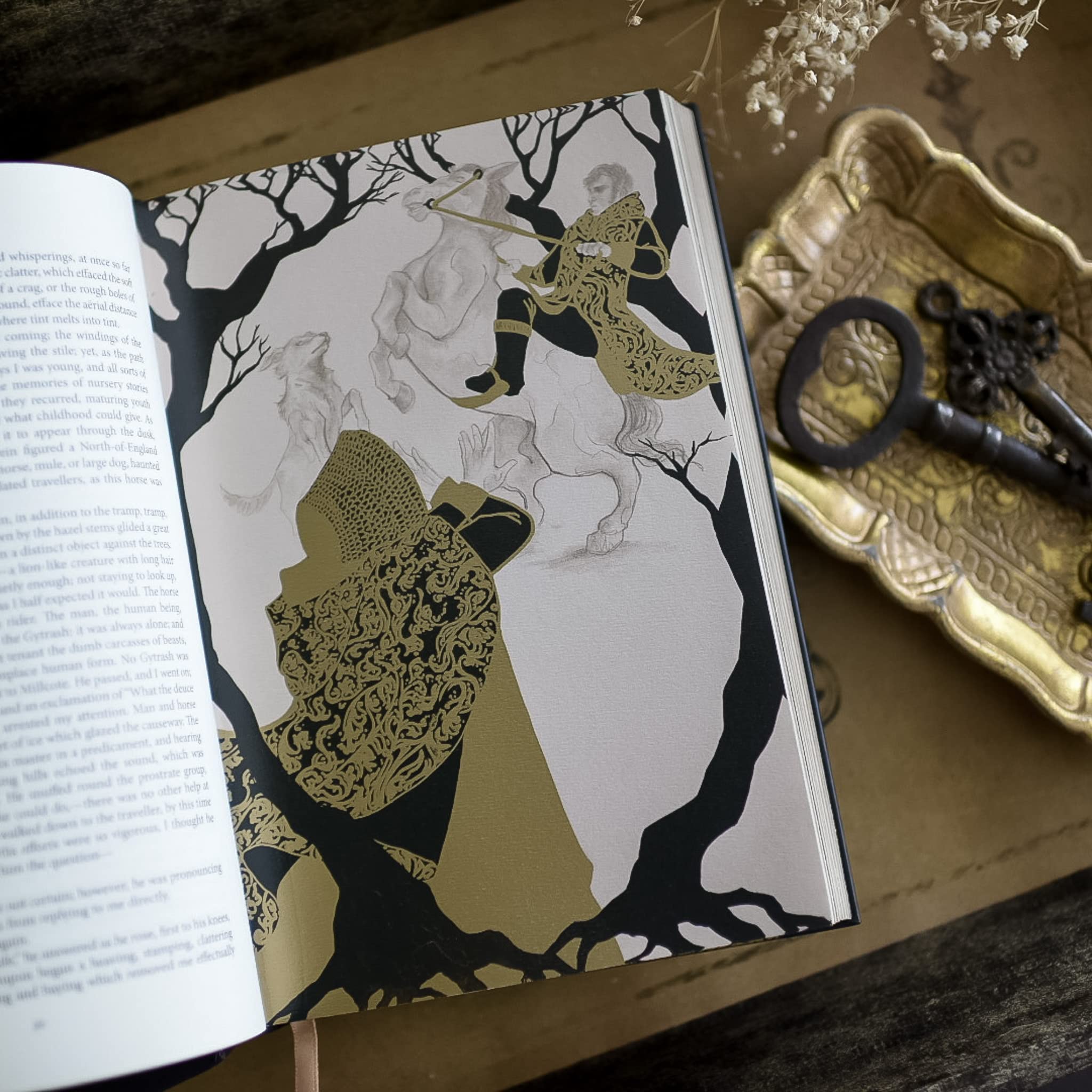 Jane Eyre Hardcover | Litjoy Special Edition | Gold-Printed Cover with 6 Illustrated Pages