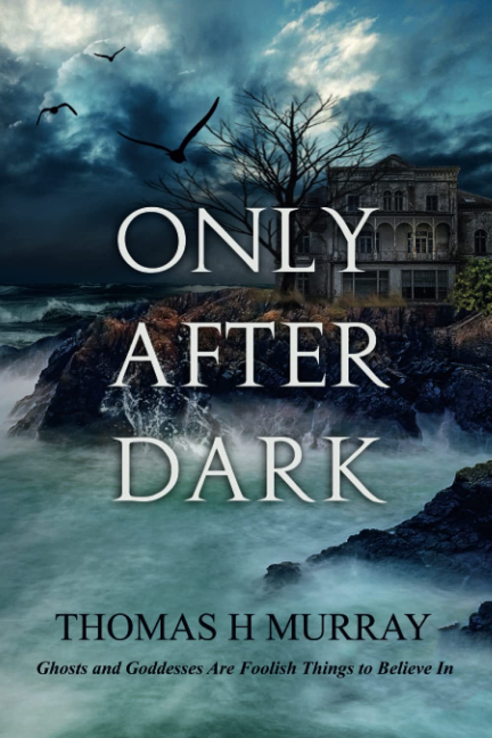 Only After Dark: One Man's Descent Into Obsession and Madness