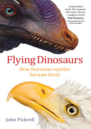 Flying Dinosaurs: How fearsome reptiles became birds