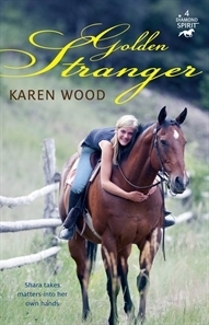 Golden Stranger (Diamond Spirit, 4, Band 4)
