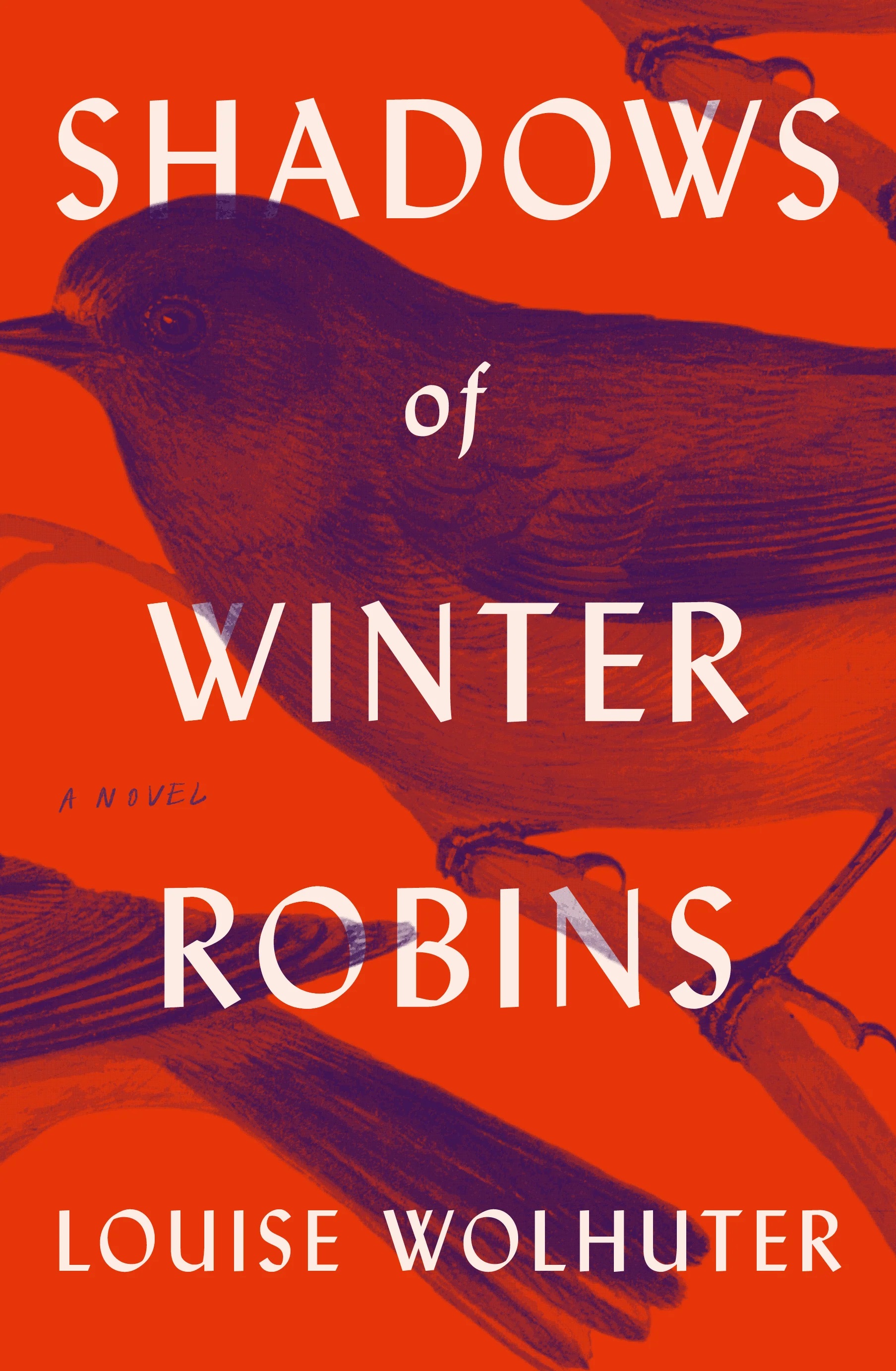 Shadows of Winter Robins