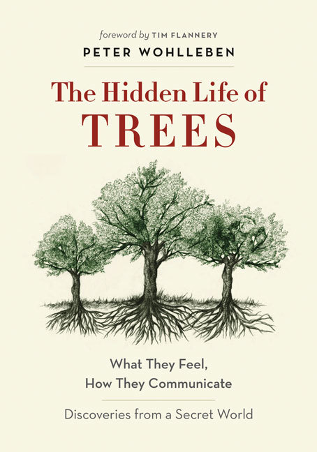 Hidden Life of Trees: What They Feel, How They Communicate―Discoveries from A Secret World (The Mysteries of Nature, 1)