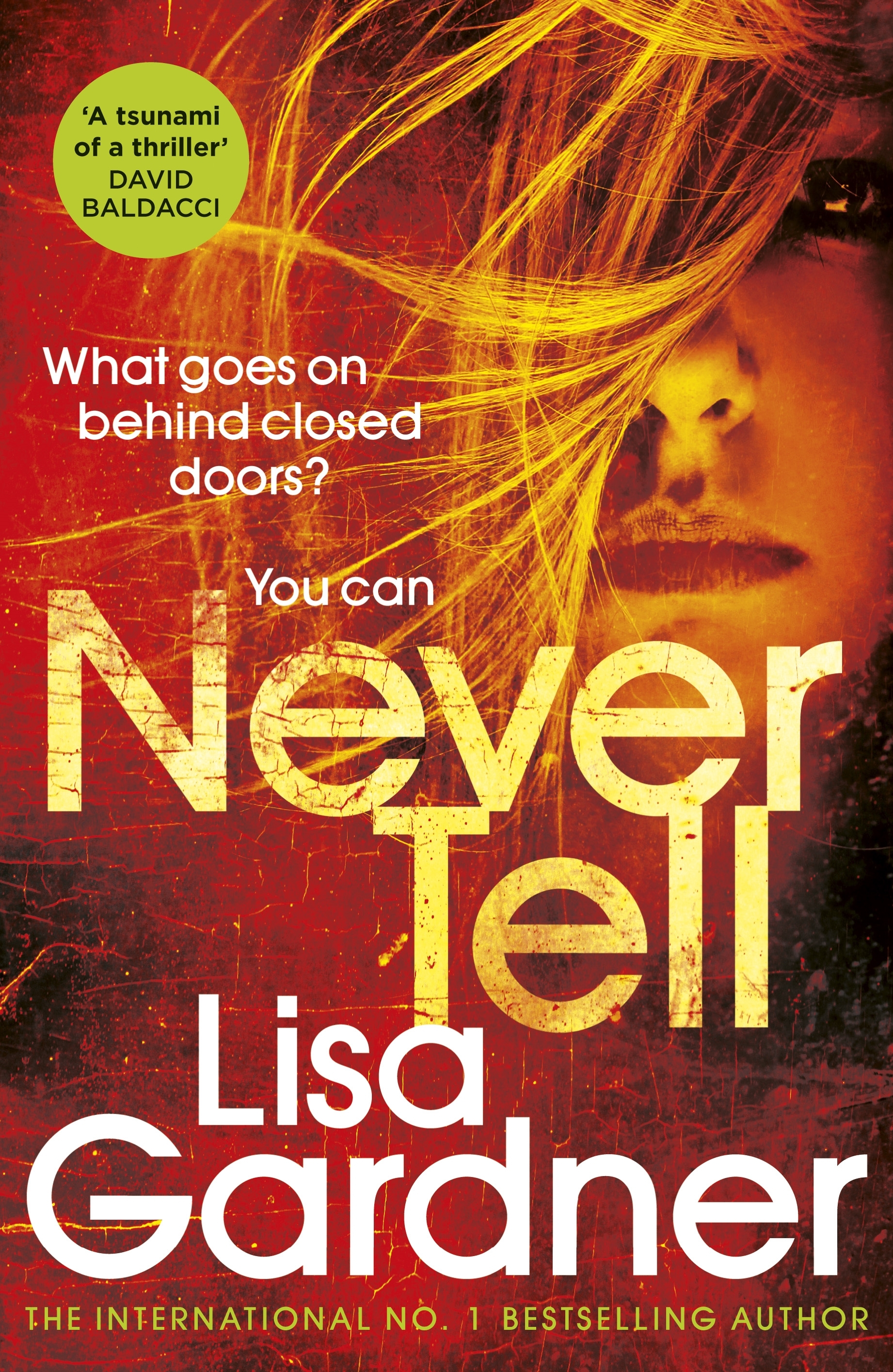 Never Tell (Detective D.D. Warren)
