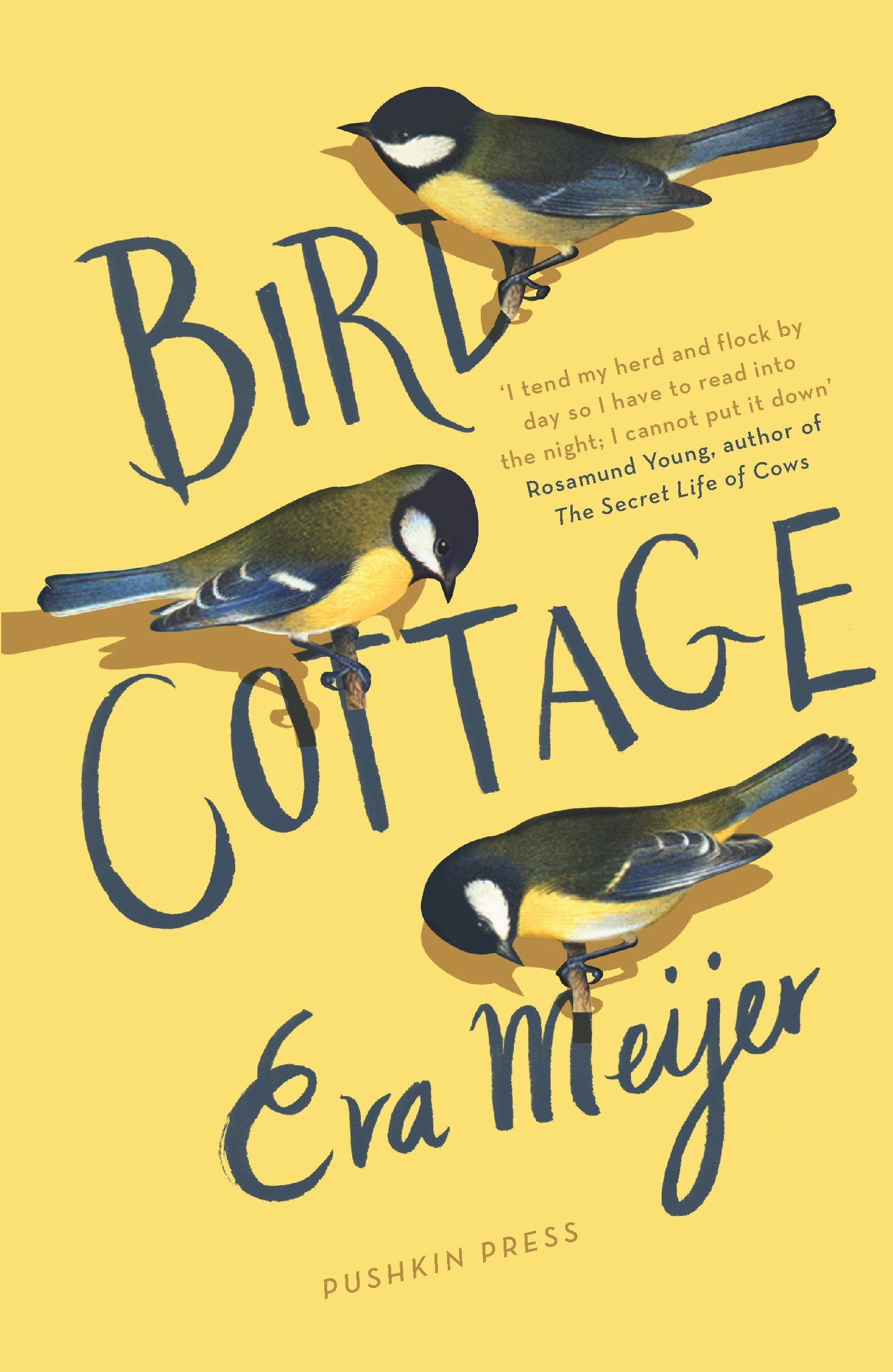 Meijer, E: Bird Cottage