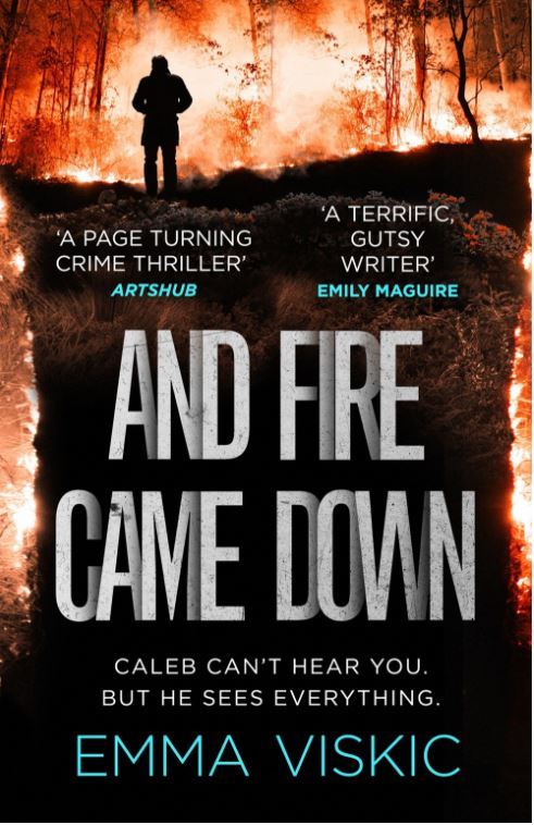 And Fire Came Down: Caleb Zelic Series: Volume Two (Pushkin Vertigo, Band 2)