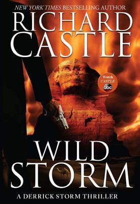 Wild Storm: A Derrick Storm Novel