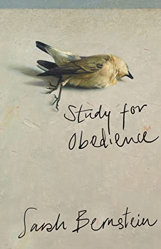 Study for Obedience: Shortlisted for the Booker Prize 2023