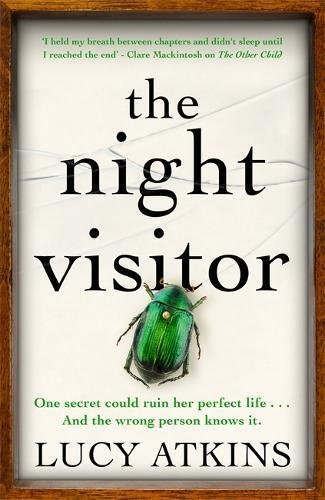 The Night Visitor: the gripping thriller from the author of Magpie Lane