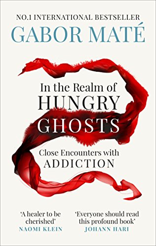 In the Realm of Hungry Ghosts: Close Encounters with Addiction (Vermilion)