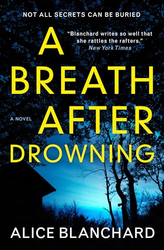 A Breath After Drowning: A Novel