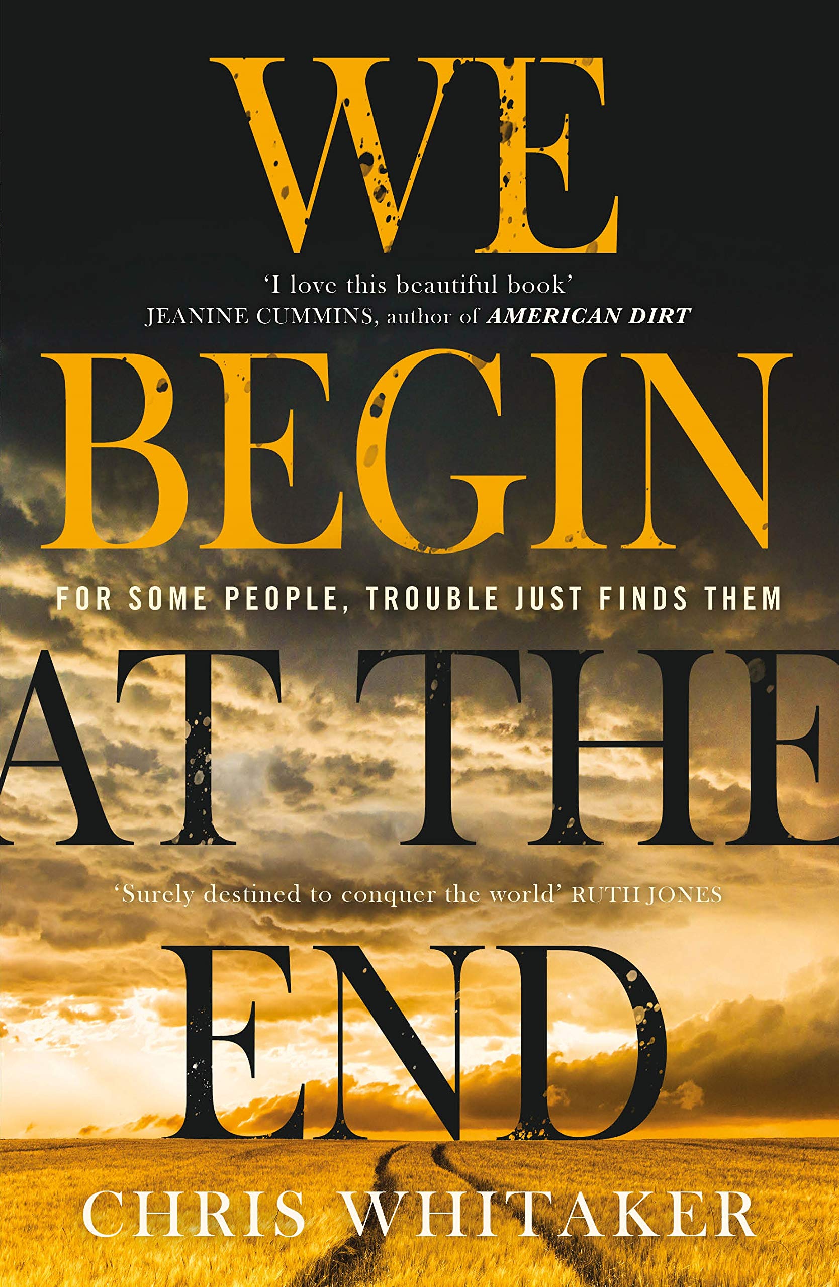 We Begin at the End: 'A beautifully written mystery, packed with unforgettable characters' Jane Harper
